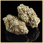 Critical x Gorilla Glue Autoflower Seeds additional image 2