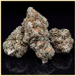 Critical x Mazar Autoflower Seeds additional image 2