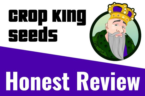 Crop King Seeds Honest Review: Legit or Scam?