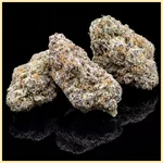 Crystal Feminized Marijuana Seeds additional image 2