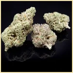 Diesel Glue Autoflower Seeds additional image 2