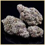 Donny Burger Feminized Seeds additional image 2