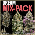 Dream Mix Pack Weed Seeds featured image