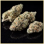 Durban Poison Autoflower Seeds additional image 2