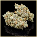Dynasty Autoflower Seeds additional image 2