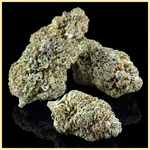 Early Girl Feminized Seeds additional image 2