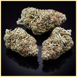 Exodus Cheese Autoflower Seeds additional image 2