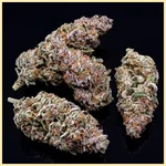 Forbidden Runtz Autoflower Seeds additional image 3