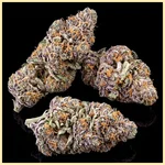 Fruit Pie Autoflower Seeds additional image 2