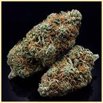 G13 Autoflower Seeds additional image 3
