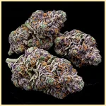 Galactic Runtz Feminized Seeds additional image 2