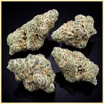 Gary Payton Autoflower Seeds additional image 2