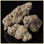 Gelato Sherbet Feminized Seeds additional image 2