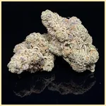 GMO Cookies Feminized Seeds additional image 2