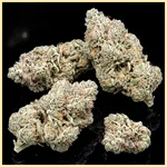 Gorilla Lemon Fire Feminized Seeds additional image 2