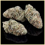 Gorilla Zkittlez Feminized Seeds additional image 2