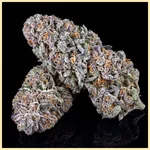Grape Diamonds Feminized Seeds additional image 2