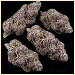 Grape Octane Autoflower Seeds additional image 2