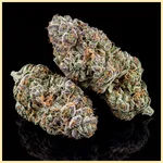 Grapericot Pie Autoflower Seeds additional image 3