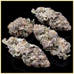 Grapericot Pie Feminized Seeds additional image 2