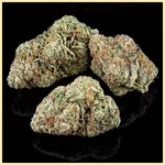 Green Crack x Somango Feminized Seeds additional image 2