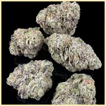 Gruntz Autoflower Seeds additional image 2