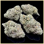 Gruntz Feminized Seeds additional image 2