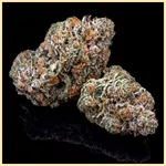 Gushers Autoflower Seeds additional image 2