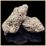 Gushers Feminized Seeds additional image 2