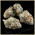 Haze Autoflower Seeds additional image 2