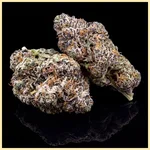 Ice Cream Cake X RS11 Feminized Seeds additional image 1
