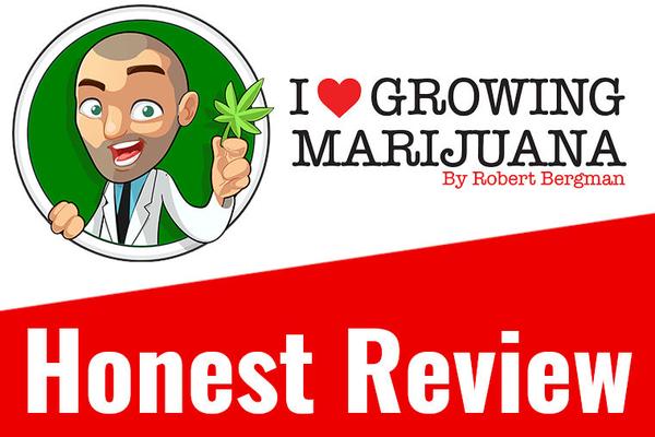 ILGM Honest Review