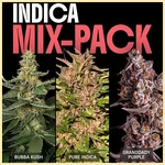Indica Mix Pack Weed Seeds featured image