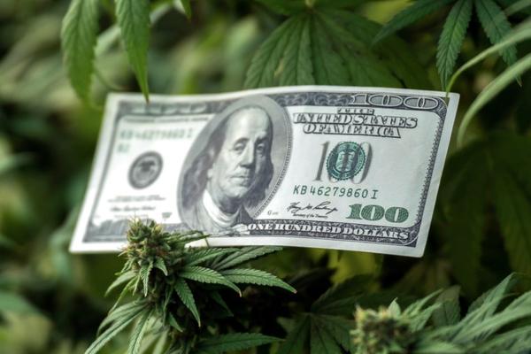 Is Cannabis Growing Still Profitable? U.S. Market Analysis