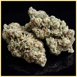 Jack Cookies Autoflower Seeds additional image 2