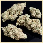 Jack Flash Feminized Seeds additional image 2