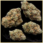 Jack Widow Feminized Seeds additional image 2