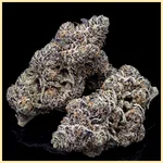 Jealousy Autoflower Seeds additional image 2