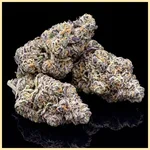Jealousy Glue Feminized Seeds additional image 2