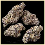 Jealousy Feminized Seeds additional image 1