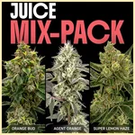 Juice Mix Pack Weed Seeds featured image