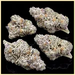 LA Kush Cake Feminized Seeds additional image 2