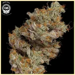 LCGellyz Feminized Seeds additional image 2