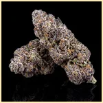 Lemon Cherry Gelato Feminized Seeds additional image 2