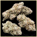 Lemon Haze Autoflower Seeds additional image 2