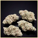 Limoncello Diesel Feminized Seeds additional image 2