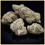 Mimosa Autoflower Seeds additional image 2