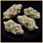 NYC Diesel Feminized Seeds additional image 2