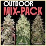 Outdoor Mix Pack Weed Seeds featured image