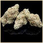 Peach Creshendo Feminized Seeds additional image 2